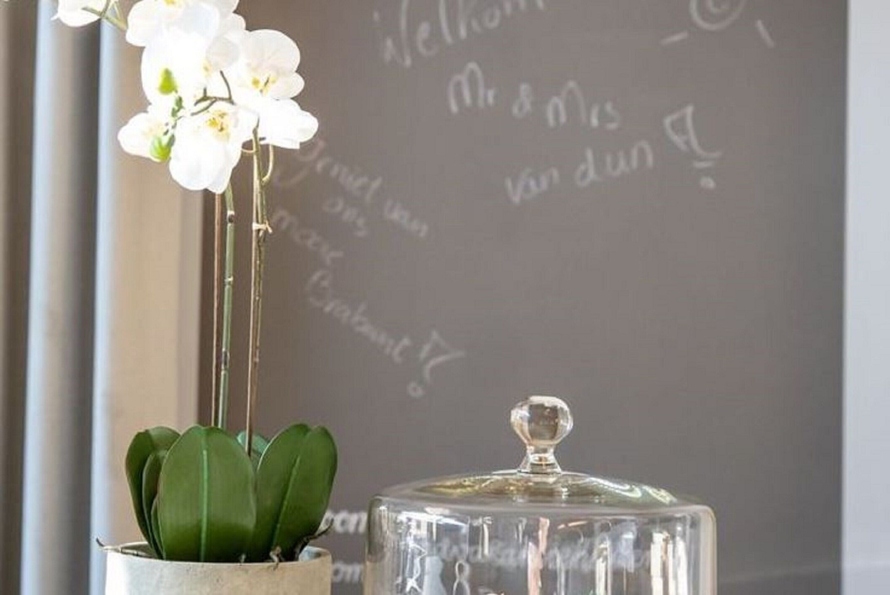 A potted orchid and a glass container with a lid on a table.