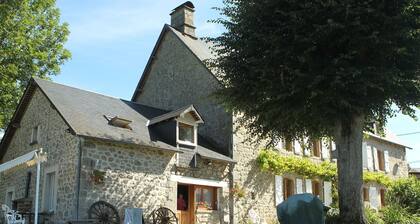 Chic Villa in Roche-le-peyroux With Swimming Pool