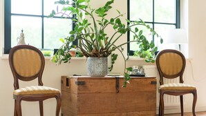 A wooden chest with a plant, two upholstered chairs, and a window with a view. - Farmhouse in Rheeze Near Forest and Meadows (Rheeze)