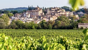 Exterior - Quirky Villa in Contignac With a Private Pool (Cotignac)