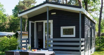 Likeable Chalet with Terrace near Oisterwijkse Vennen