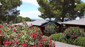 A row of cabins with sloped roofs, surrounded by lush greenery and flowering plants. - 30m2 air-conditioned 2-bedroom chalet near Cap d'Agde beaches (Agde)