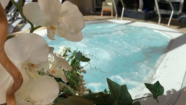 Apartment | Pool - Modern Holidayapartment in Center of Mariapfarr (Mariapfarr)