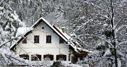 Holiday Home in Hermagor Near Nassfeld Ski Area