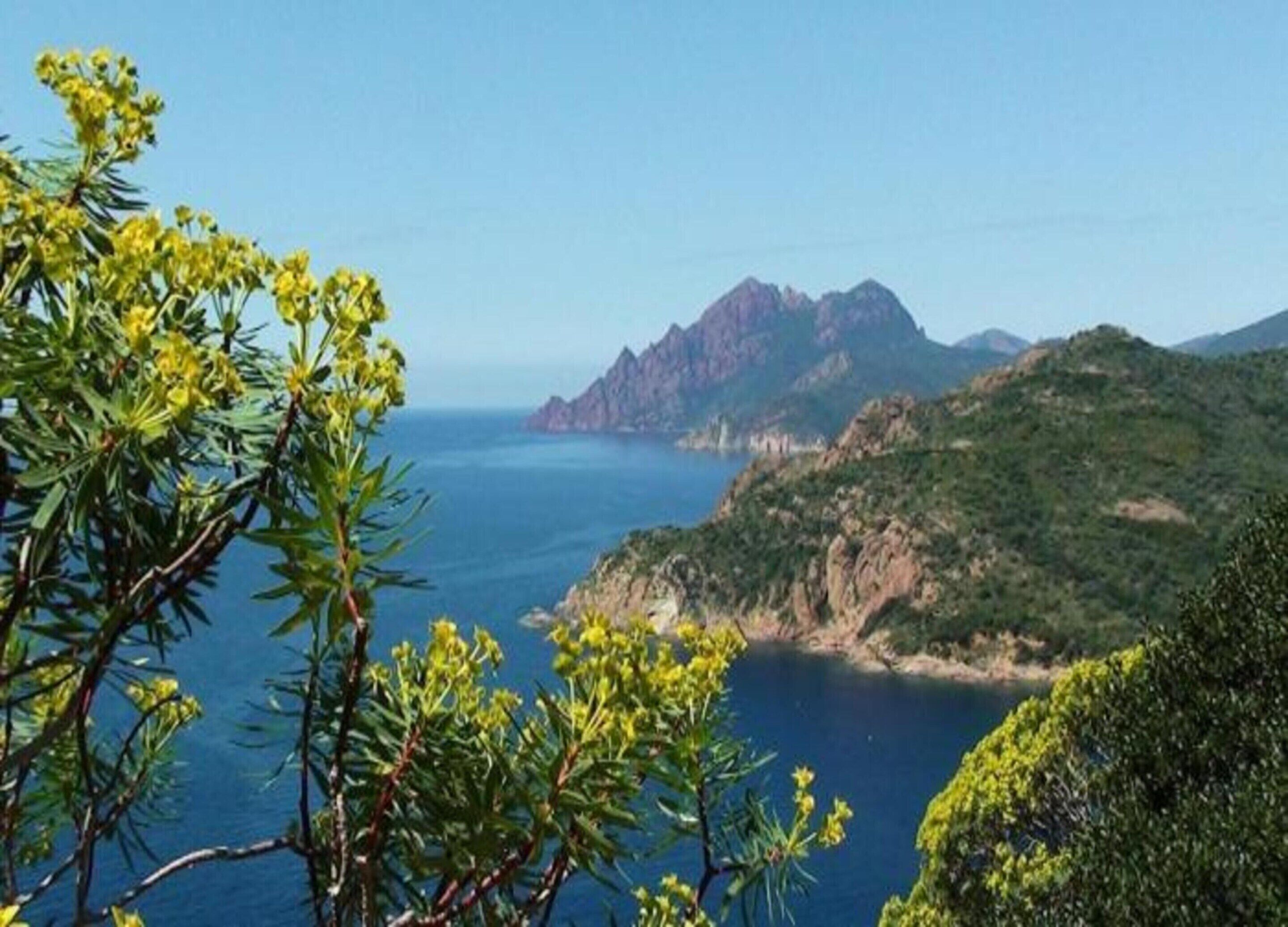 A coastal landscape with a mountain, clear sky, and vegetation.