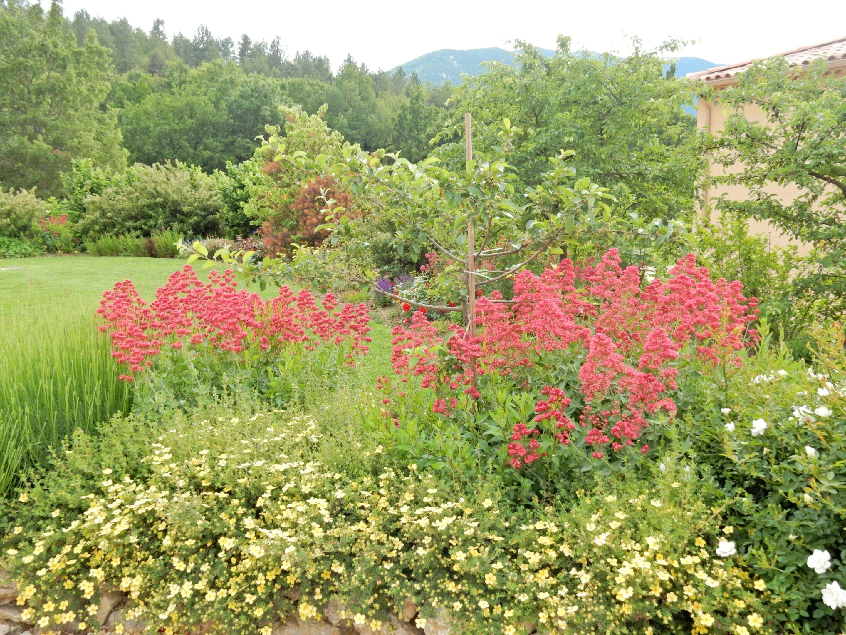 Apartment | Garden