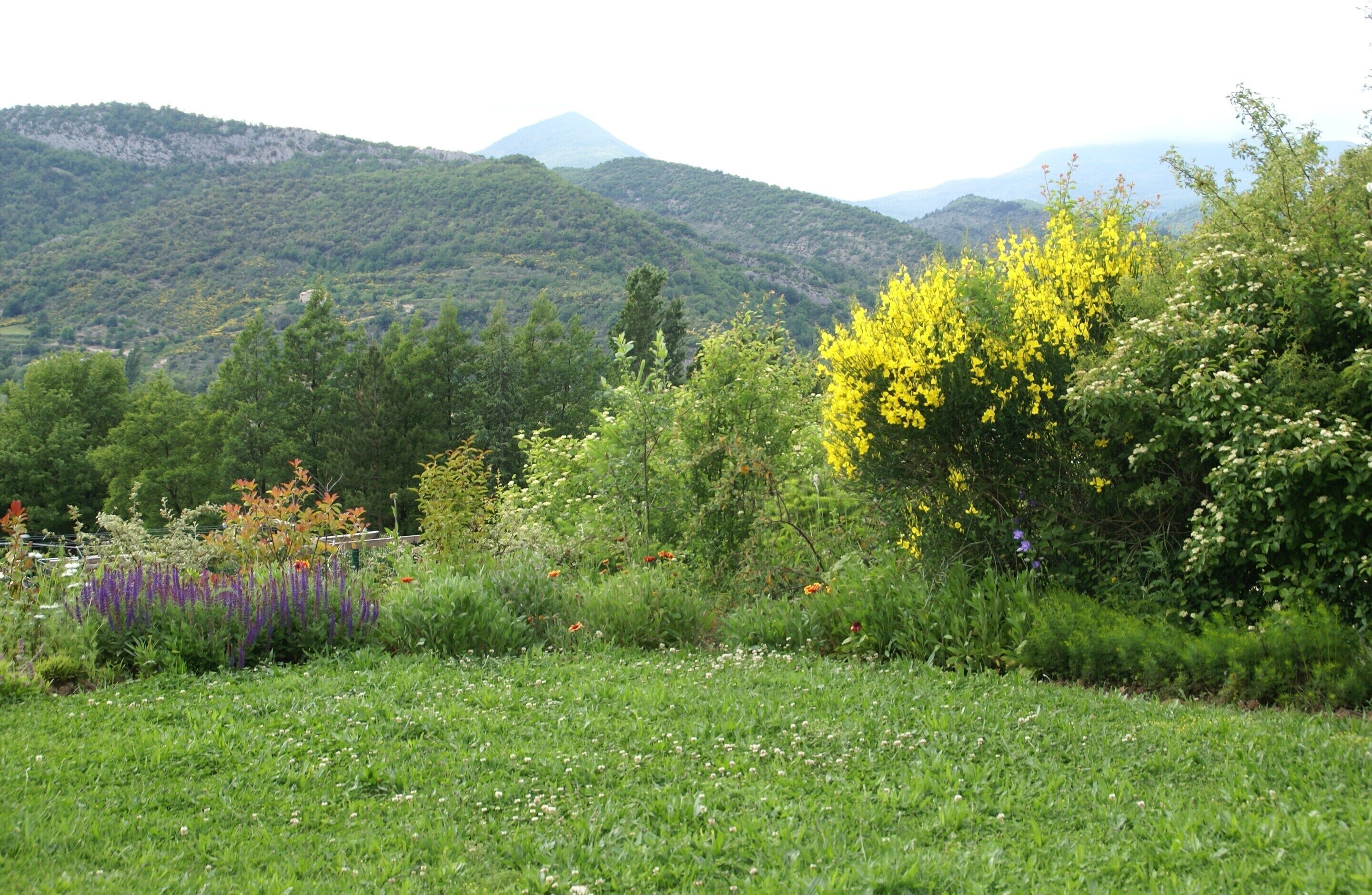 Apartment | Garden