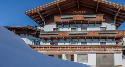 Spacious Apartment in Mittersill near Ski Area