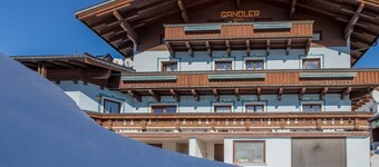 Spacious Apartment in Mittersill near Ski Area