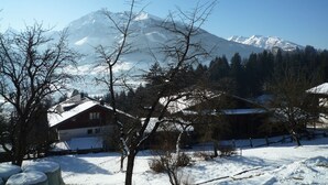 A snow-covered landscape with a mountain in the background, a few buildings, and leafless trees. - Spacious Apartment in Mittersill near Ski Area (Mittersill)