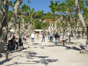 Eksteriør