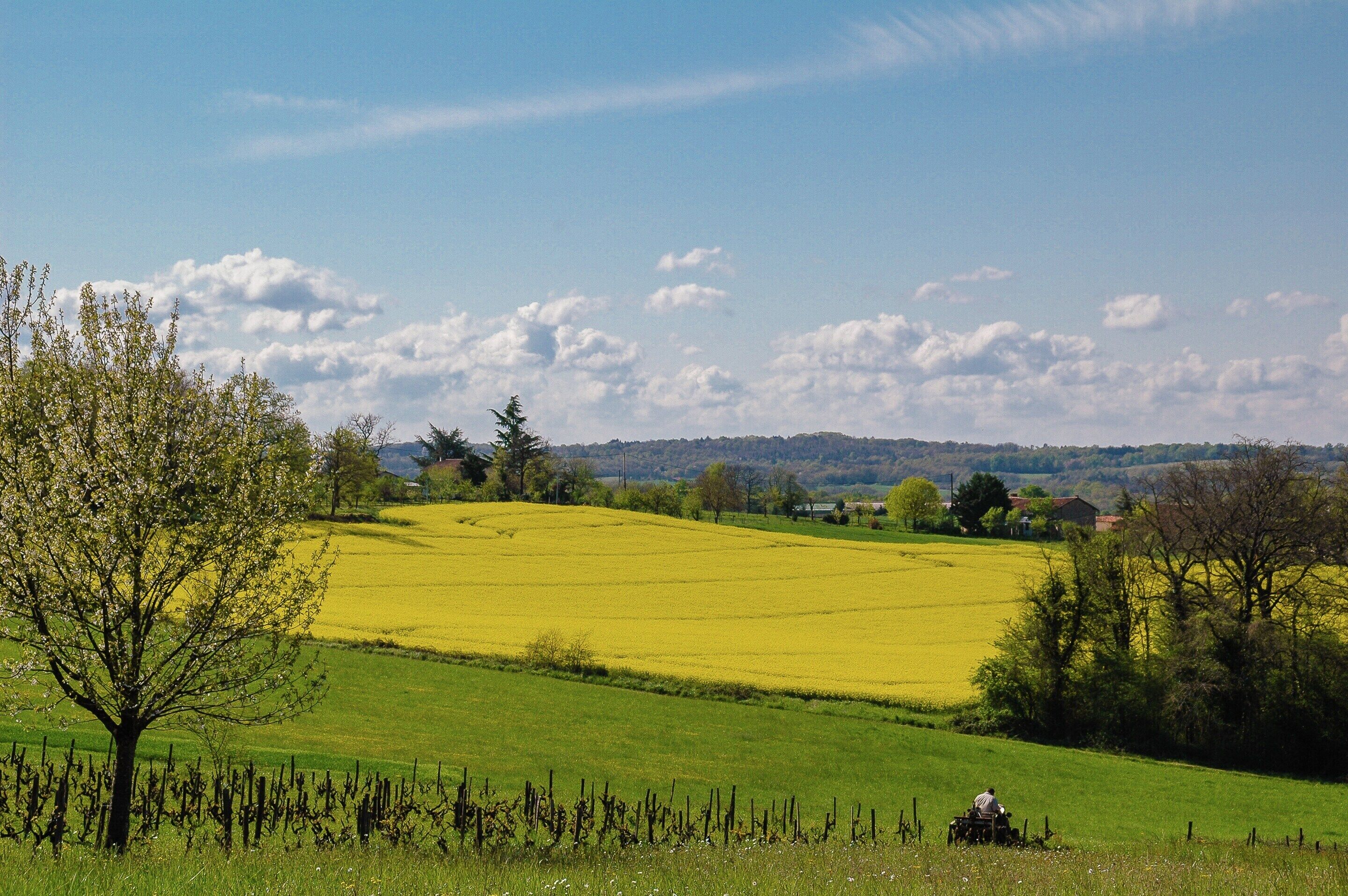 A rural landscape with fields, trees, and a distant house.