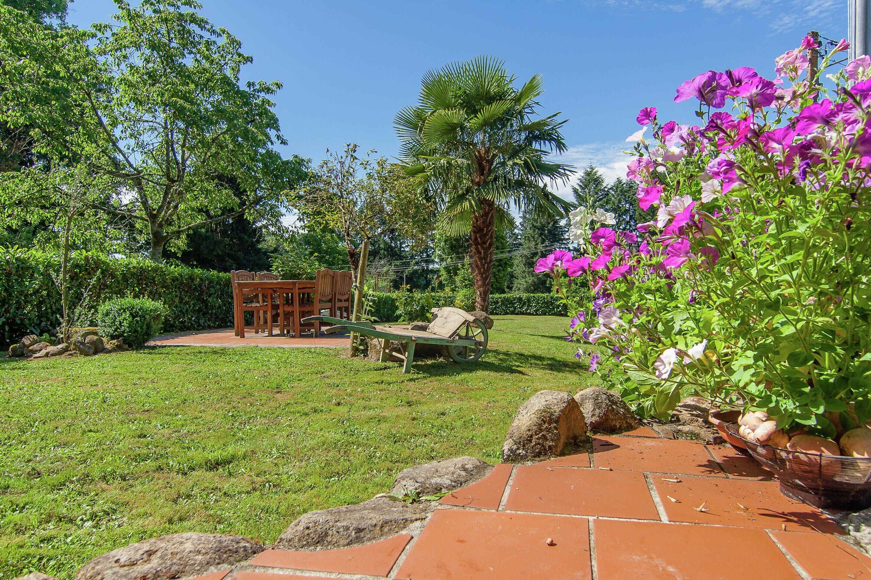 A garden with a wooden bench, a wheelbarrow, and a palm tree.