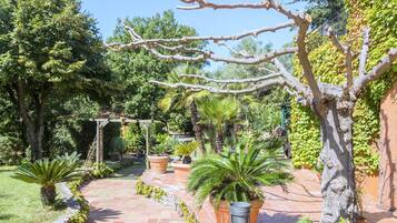 House | Garden