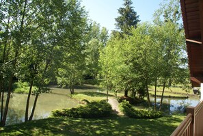 House | View from property - Charming Holiday Home With Pool and Pond (Villentrois-Faverolles-en-Berry)
