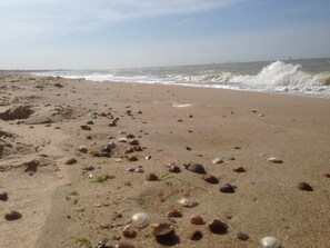Exterior - Dike House in Schoondijke Near Beaches (Schoondijke)