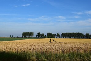 單棟房屋 | 住宿景觀