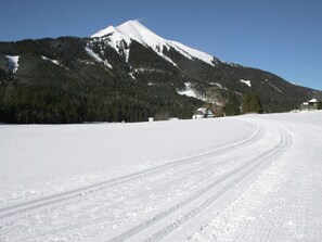 Chalet | View from property - Nice Chalet With Terrace (Hohentauern)