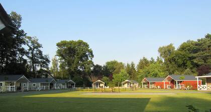 Houses Toger With Group Space in 't Vechtdal