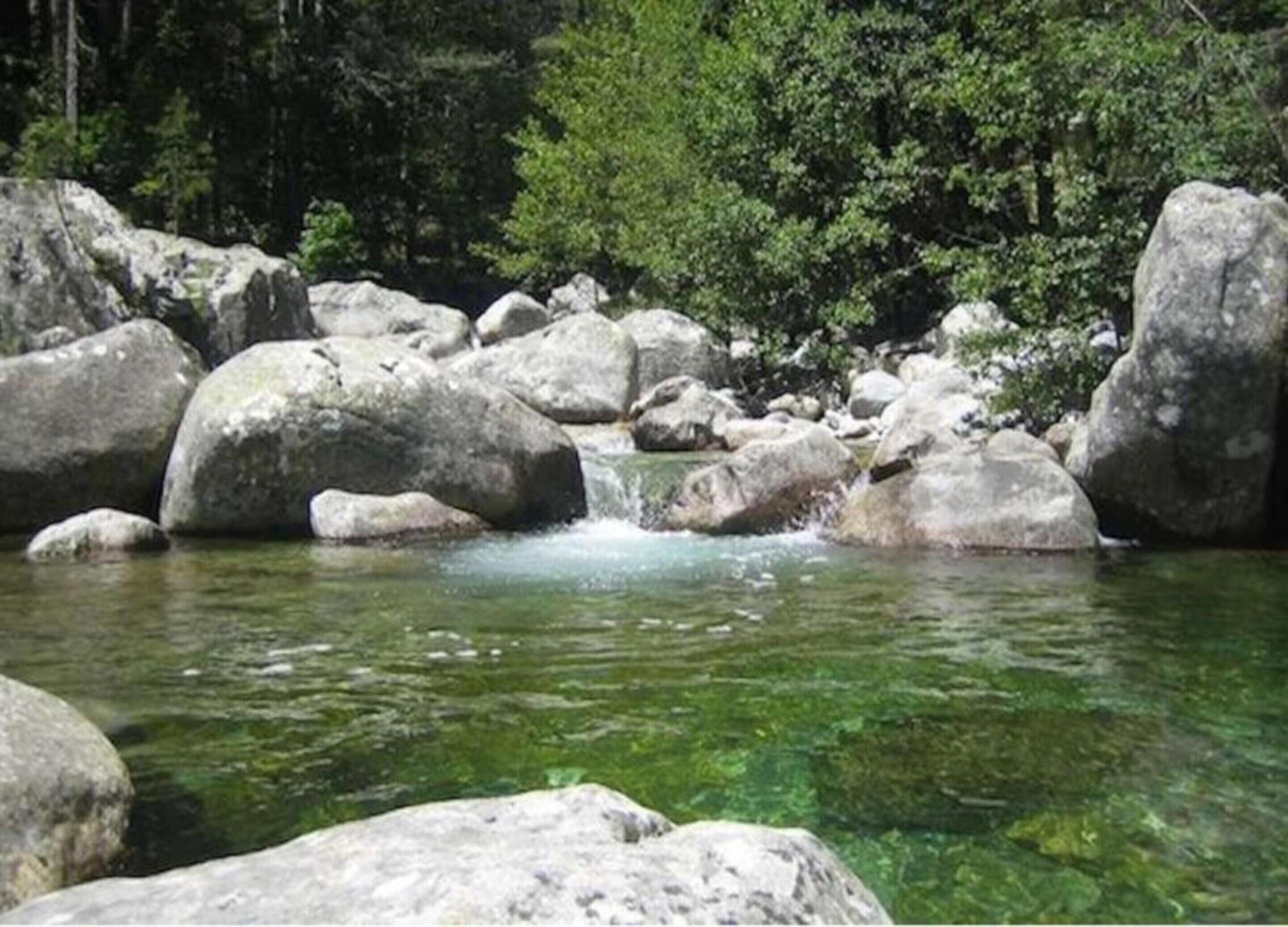 A natural setting with a clear stream surrounded by large rocks and dense greenery.