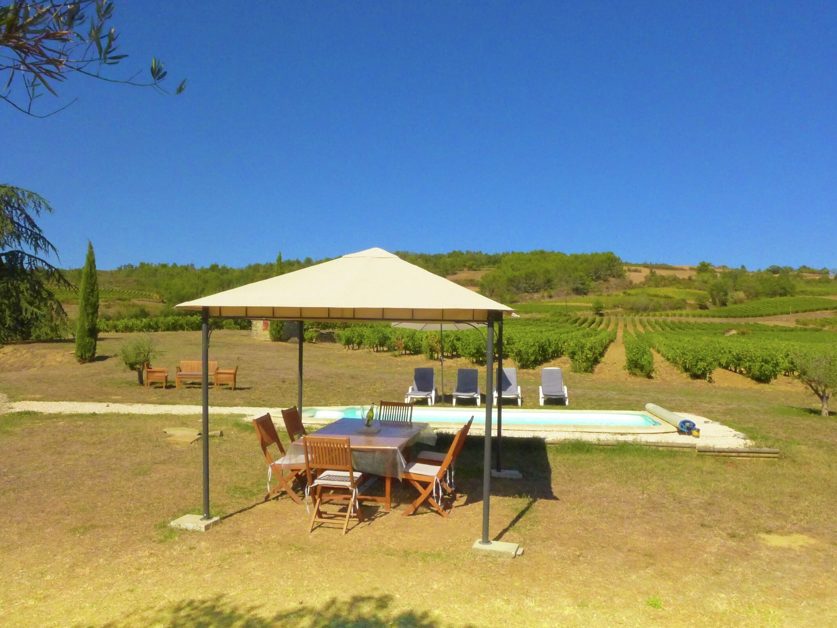 A covered outdoor dining area with a pool, surrounded by a vineyard landscape.