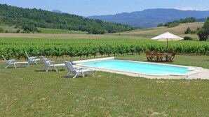 A swimming pool with lounge chairs and a table, surrounded by a grassy area with vineyard rows and mountains in the background. - Villa in Conilhac With Private Terrace (Roquetaillade-et-Conilhac)