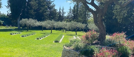 House | Garden