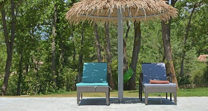 Villa in Montauroux With Pool and Forest Views