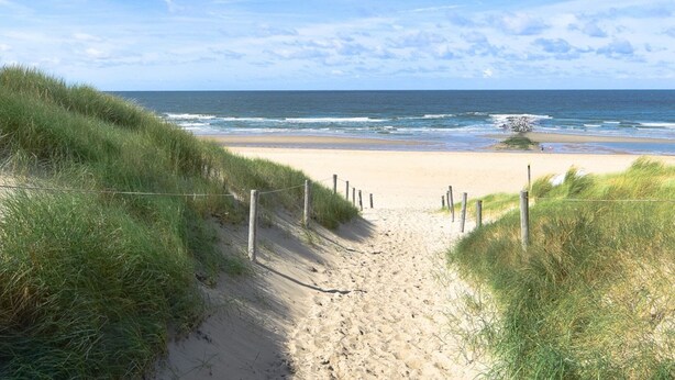 A sandy beach path leading to the ocean, surrounded by grassy dunes. - Holiday Home in Texel Near the Sea (De Koog)