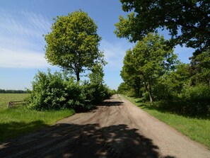 Eksteriør