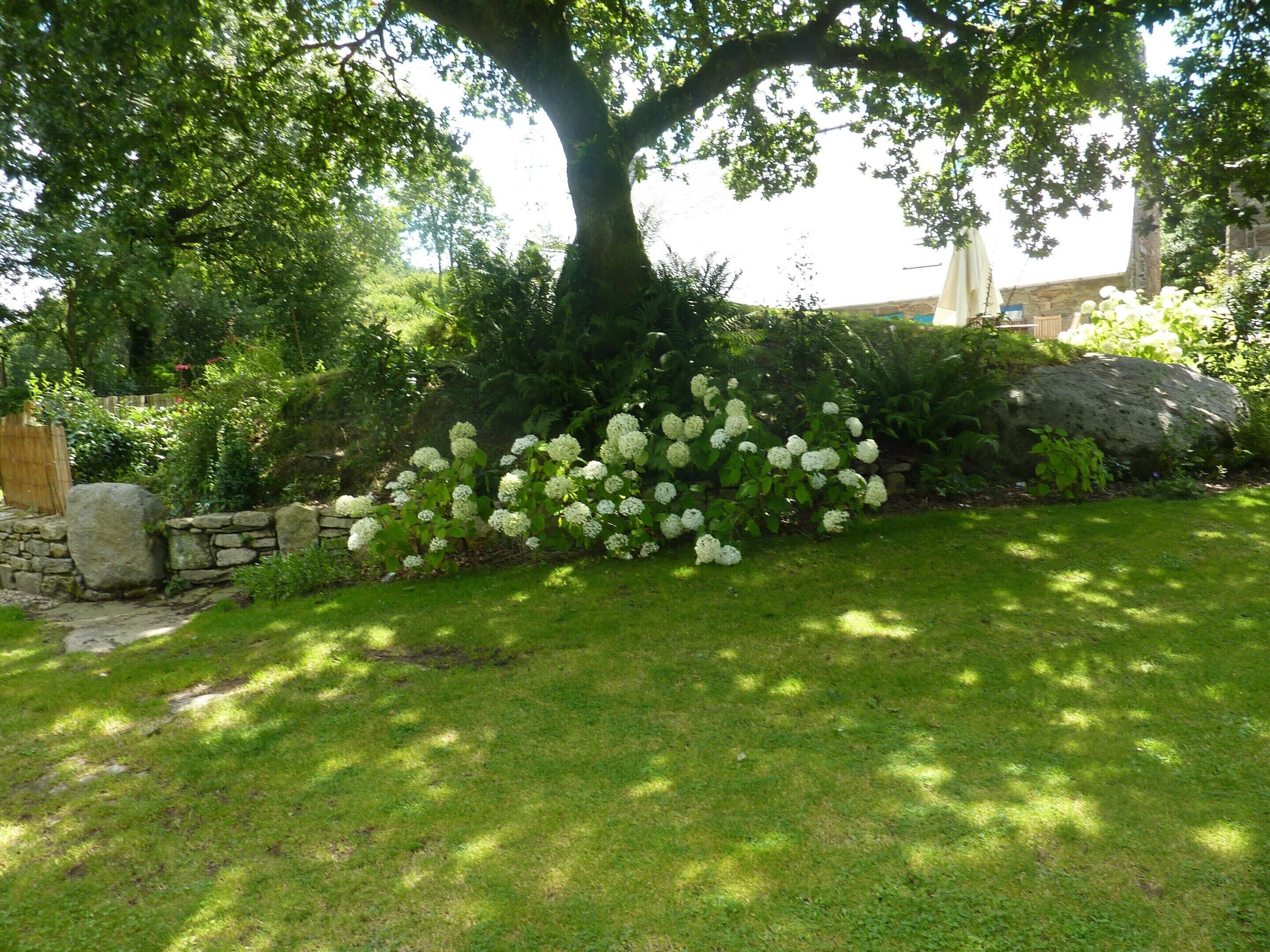 Huis | Tuin