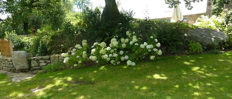 House | Garden