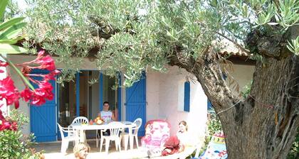 Well-kept Bungalow With Combi-microwave, Beach at 5 km