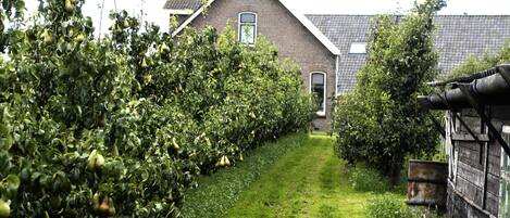 الإطلالة من المنشأة