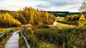 A pathway through a forest with a wooden fence on one side and a river on the other.