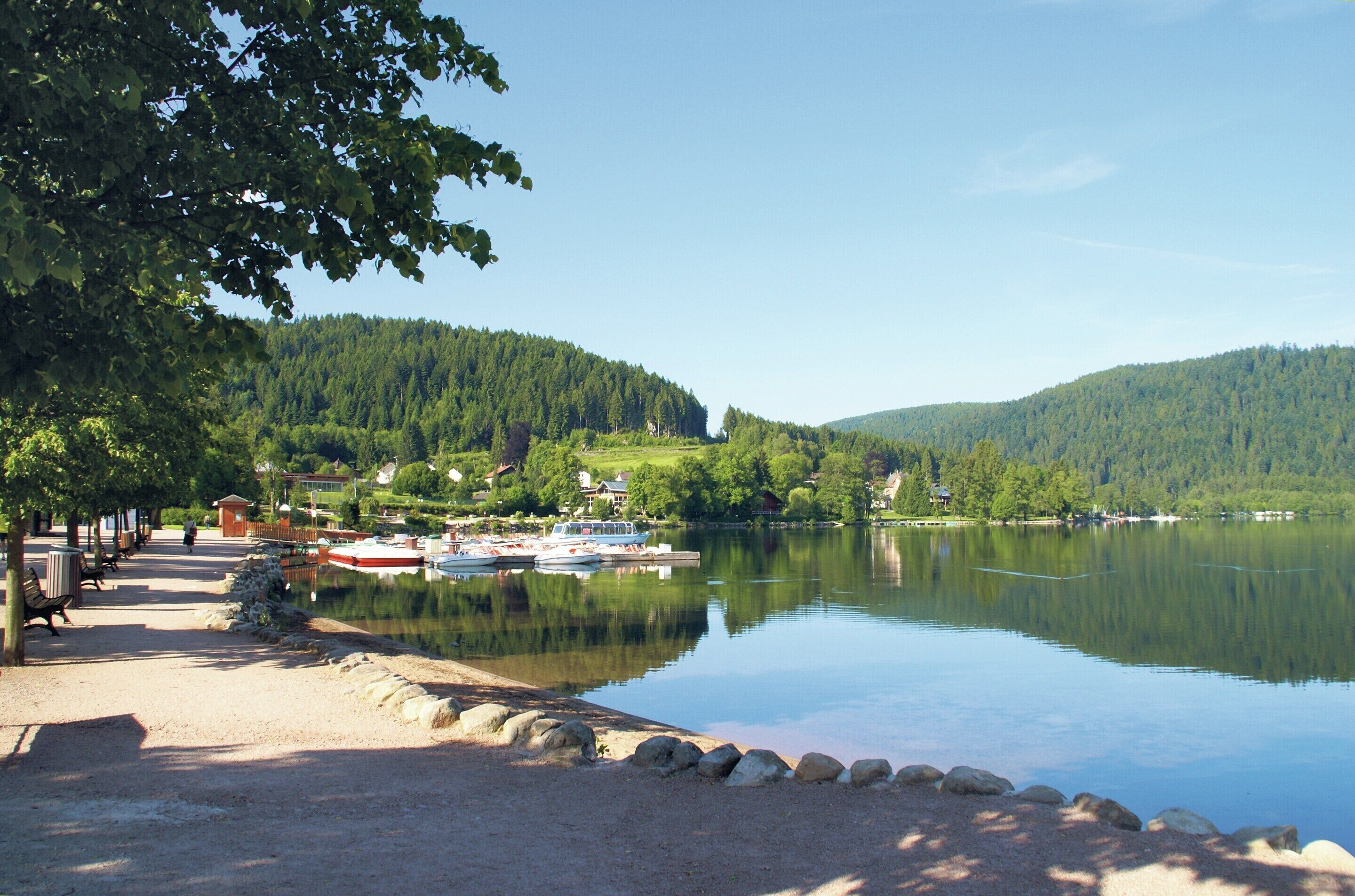 A lakeside view with boats, a dock, and a pathway.