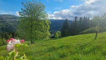 Chalet | View from property