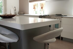 House | Private kitchen | High chair - Mansion in Nijensleek With Sauna & Garden (Nijensleek)