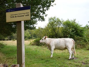 บริเวณภายนอก