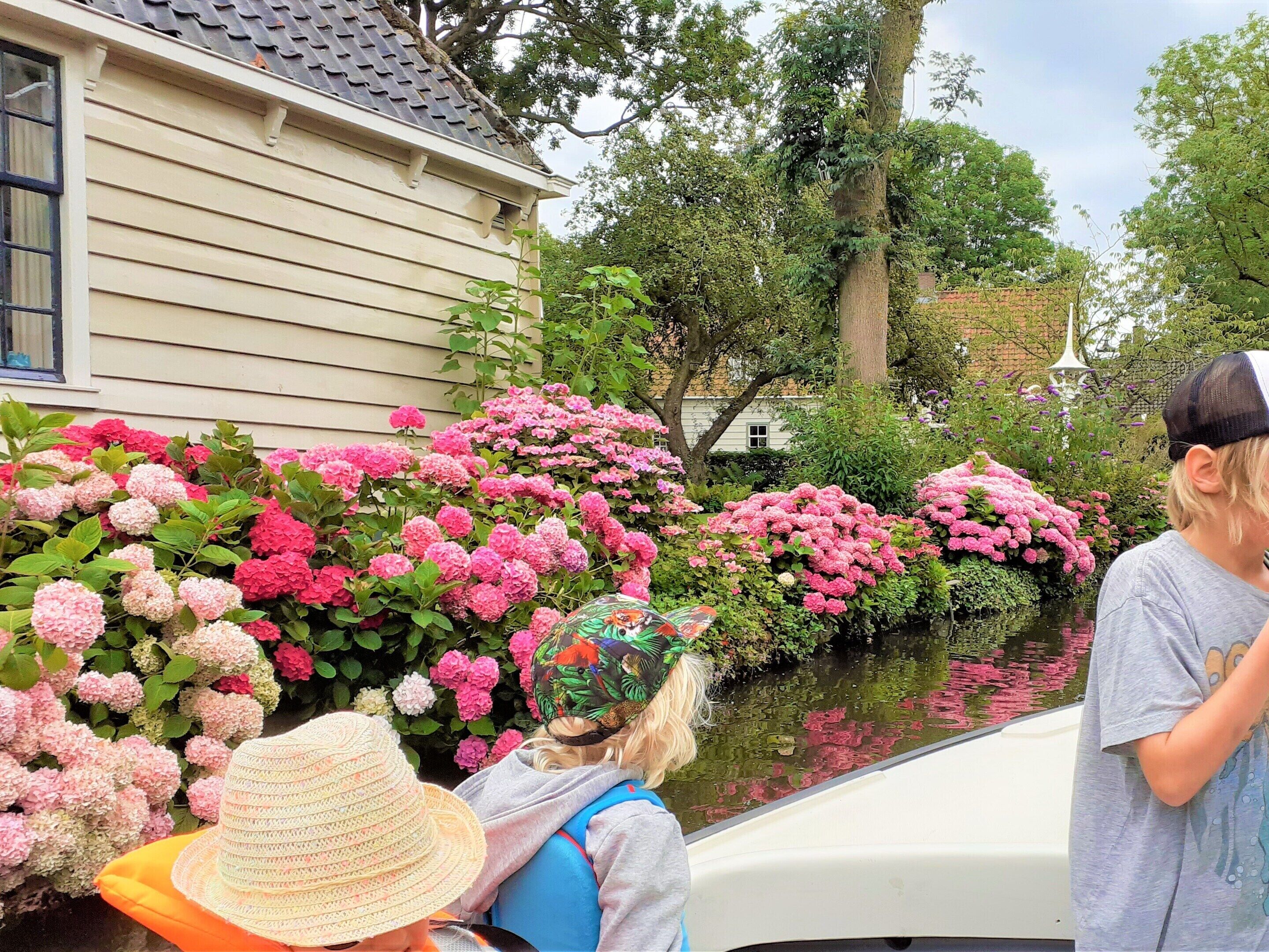 House | View from property