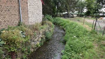 House | View from property