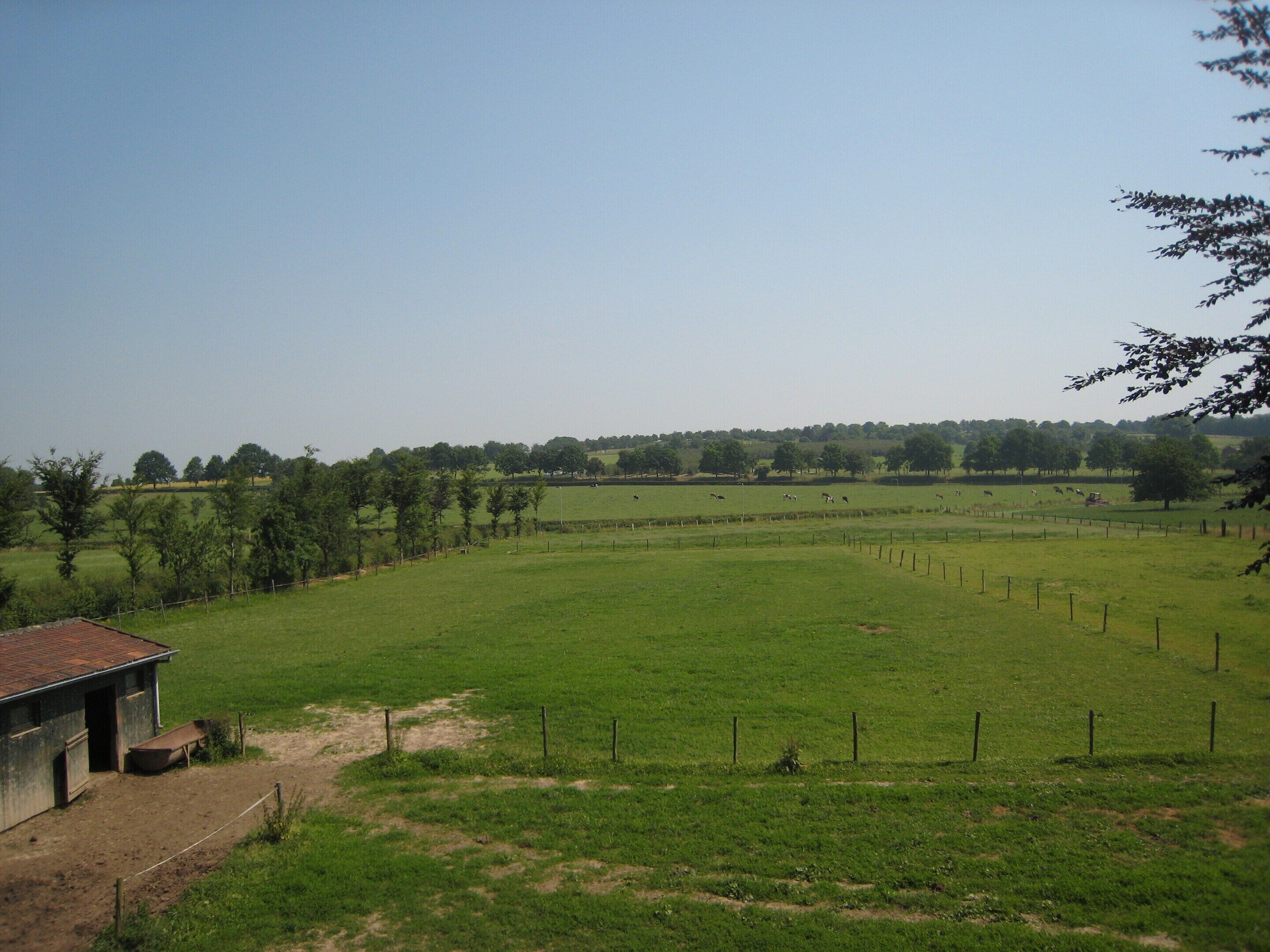 House | View from property