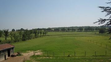 House | View from property