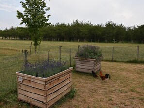 House | Garden - Apartment Near the Belgian Border (Eijsden)
