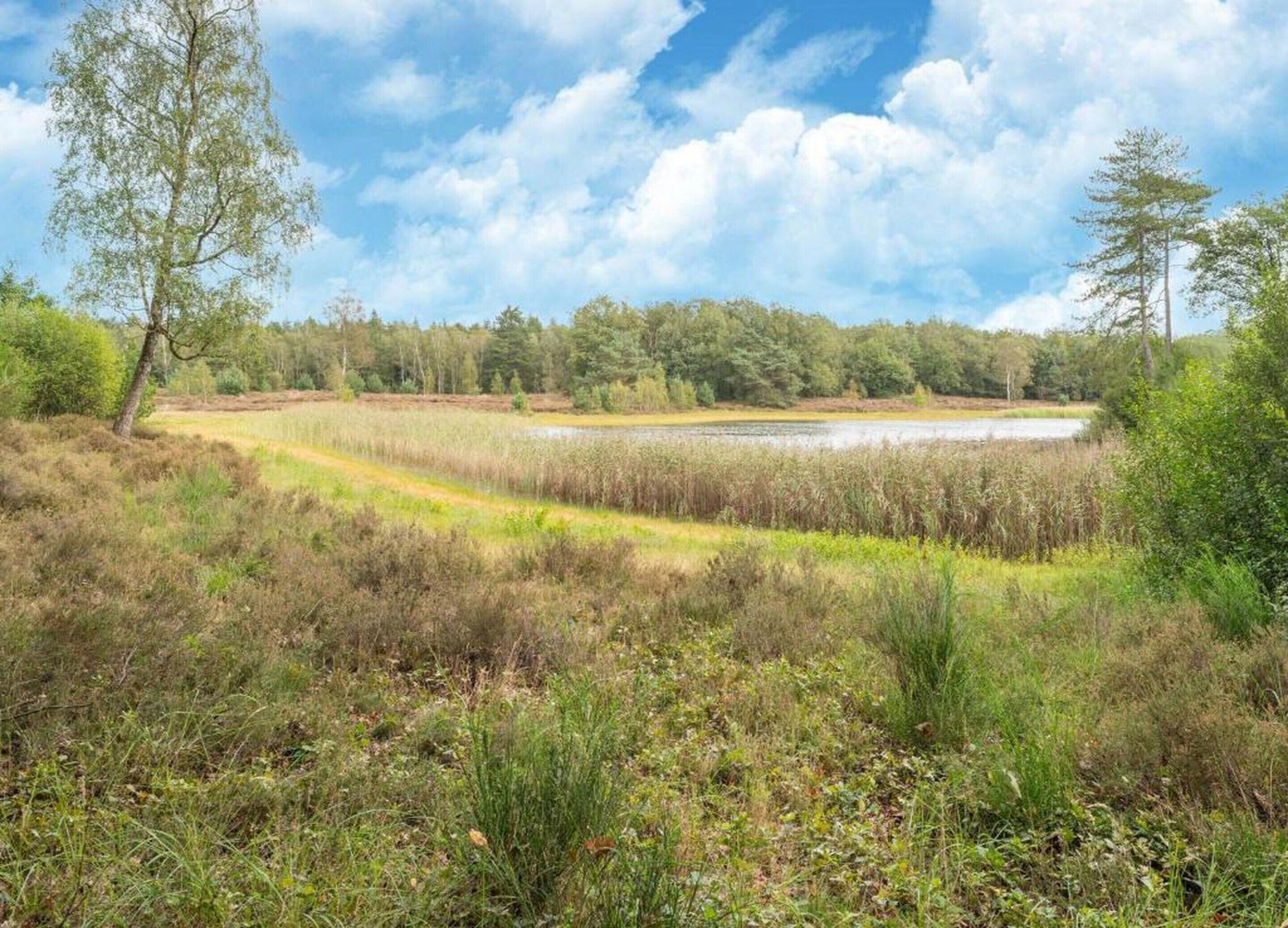 A natural landscape with a body of water, trees, and grassy areas.