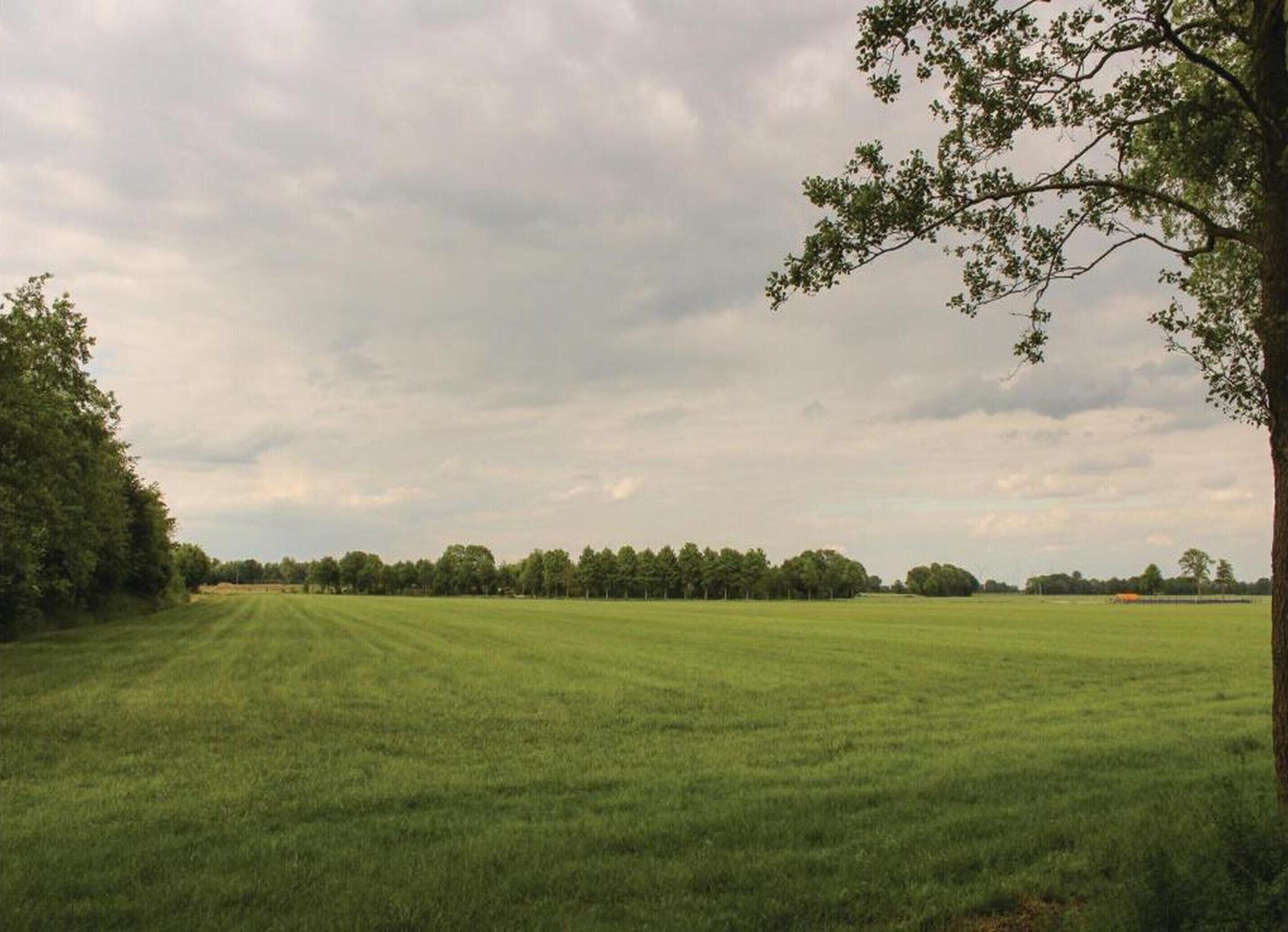 A wide, open grassy field with a line of trees in the distance under a cloudy sky.