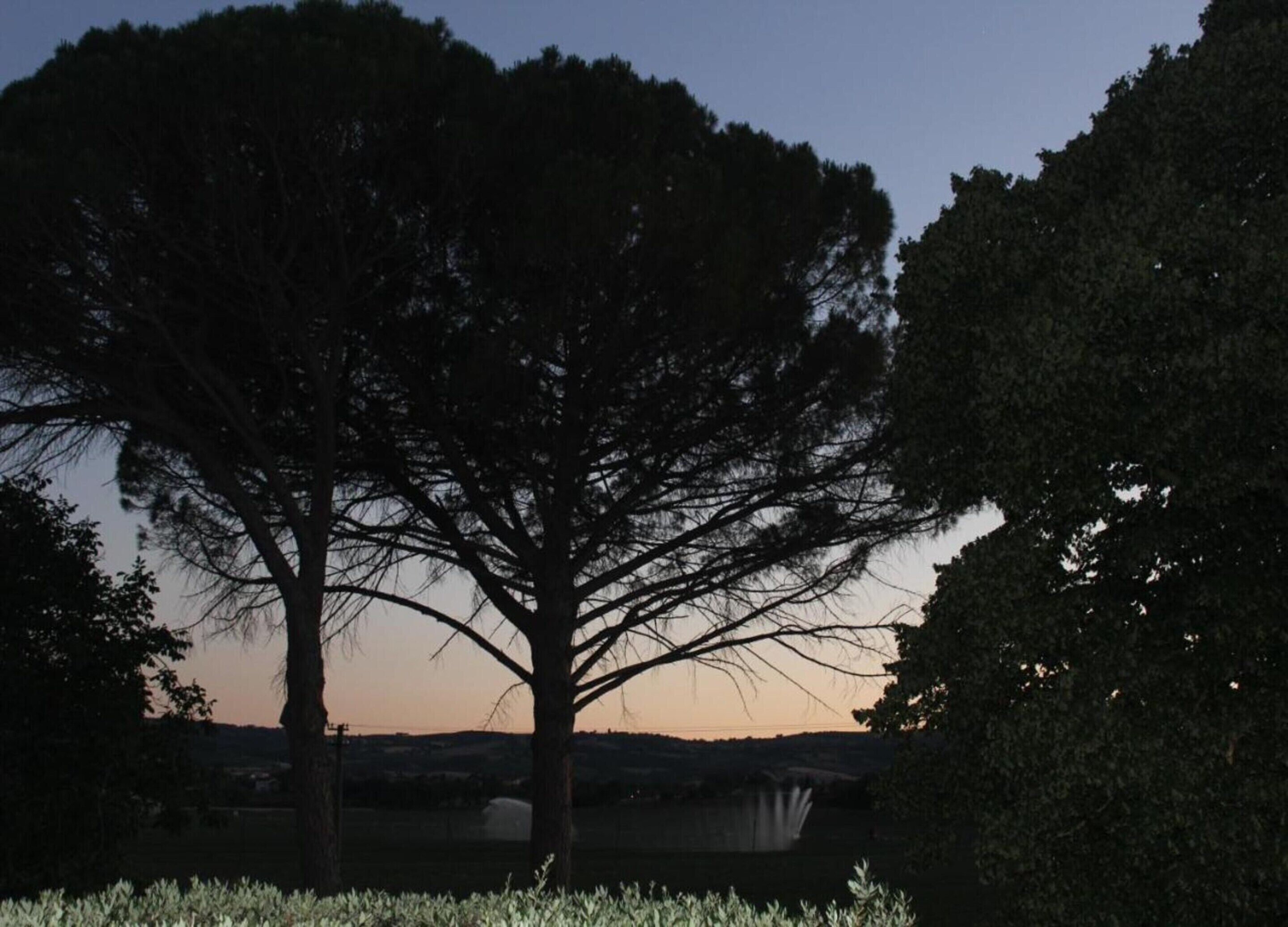 A large tree in a field with a distant waterfall and a clear sky.