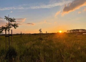 House | View from property - Lovely Group Home With Lots of Privacy, Ideal for Families and Friends (Valkenswaard)