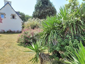 Una casa con techo inclinado, jardín cubierto de césped y diversas plantas, incluyendo una destacada planta de agave.