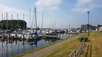 House | View from property